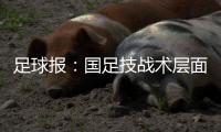 足球报：国足技战术层面和亚洲强队差距太大 腰无力困境更是无解