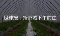 足球报：新鹏城下午前往武汉和三镇热身�，新帅穆尼奥斯随队前往
