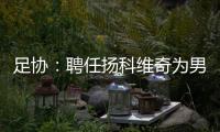 足协
�：聘任扬科维奇为男足国家队主教练