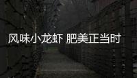 风味小龙虾 肥美正当时！珠海这家店赢得食客“正宗”认证