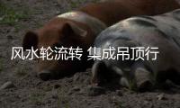 风水轮流转 集成吊顶行业又回到“电器时代”�
？
