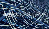 快排公司十年历程，霸屏兔 seo 的崛起与坚守