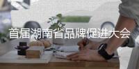 首届湖南省品牌促进大会召开，三一在多项评选中独占鳌头