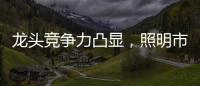 龙头竞争力凸显
，照明市场竞争格局高度分散，流量竞争日趋激烈