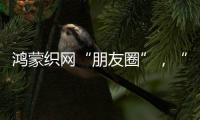 鸿蒙织网“朋友圈”，“这是决定生死的一战”