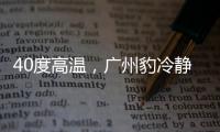 40度高温	，广州豹冷静布局