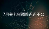 7月养老金调整迟迟不公布
，人社部却悄悄更新一条动态，意味着啥