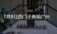 7月8日西门子亮相广州建博会	，新品开关插座引领智能家居新风尚