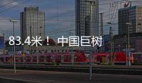 83.4米
！ 中国巨树首次攀测综合科考完成