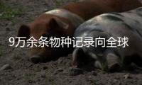 9万余条物种记录向全球开放，中国首个热带生物多样性数字平台发布