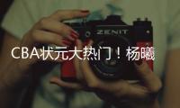 快排公司十年历程，霸屏兔 seo 的崛起与坚守