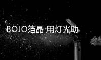 快排公司十年历程，霸屏兔 seo 的崛起与坚守