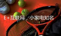 E+互联网，小家电知名品牌双管齐下