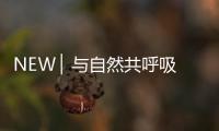 NEW ▏与自然共呼吸
，与家人贴近自然澄净之美