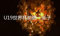 U19世界杯前瞻：张子宇缺席3中锋最高1.95米 实力榜第七仍能冲8强