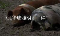 TCL华瑞照明
：“种”一片翠绿�，让生活和工作更添生机