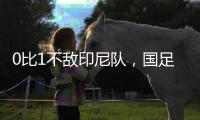 0比1不敌印尼队
，国足正式无缘美加墨世界杯