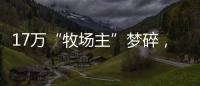 17万“牧场主”梦碎，养羊理财平台众牧宝被查