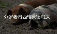 37岁老将西格蒙德淘汰幸运落败者首进温网八强
，将战萨巴伦卡