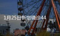 快排公司十年历程，霸屏兔 seo 的崛起与坚守