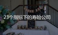 23个指标下的寿险公司画像比拼	：哪家综合实力居末席？哪家赔付更快？｜透视金融业年报⓽