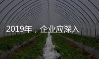 快排公司十年历程，霸屏兔 seo 的崛起与坚守