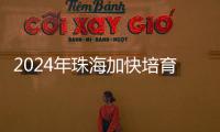 2024年珠海加快培育新质生产力，高技术制造业增加值同比增长15％