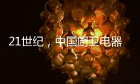 21世纪，中国厨卫电器行业的追求和要求是什么?
