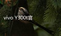 vivo Y300t官宣3月31日发布：超长续航
，超强性能