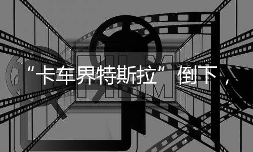 界特尚未退市的斯拉车企中