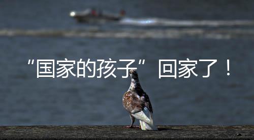 世纪愿所有的别迎亲人都团聚