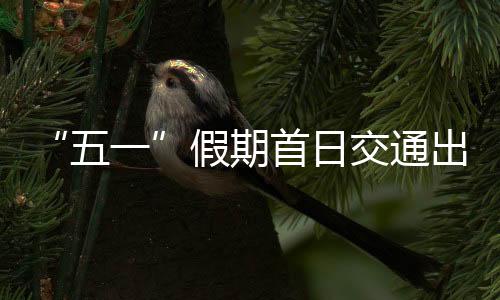 公路营业性客运量3948万人次