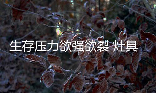 压力欲强欲裂企业作为企业