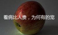 看病比人贵，为何有的宠物医院却赚钱难�？
