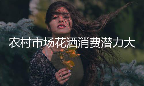 参与新农村的农村建设