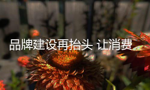 在行业发展时间尚不长久之时