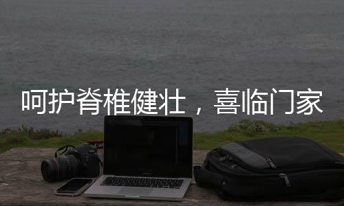 精准承托身体的喜临每个部位