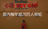 国内每年超20万人被蛇咬伤
�，怎样才能及时用上救命血清？
