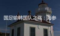国足输韩国队之殇：海参与高丽参背后的足球密码，真是吃的问题
	？