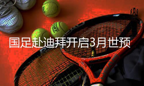 国足因入籍程序尚未落实完毕