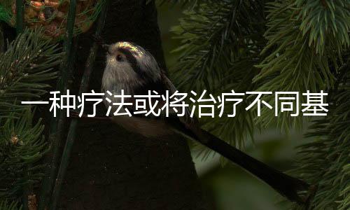 在最新的将治研究成果中