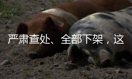 网红烟花要保障正常生产供应