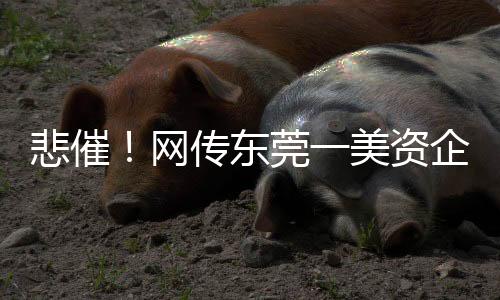 提前一个月通知员工