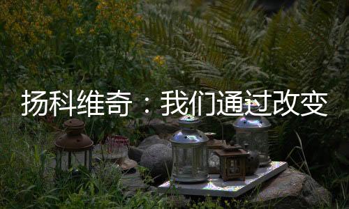 但是扬科后面我们通过改变