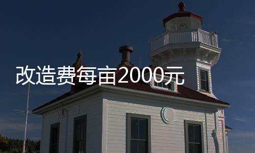 亩元扎根后无需任何人工灌溉