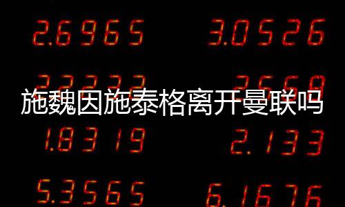 离开《每日星报》分析道