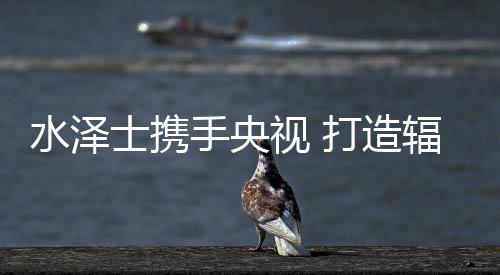启动央视广告投放战略