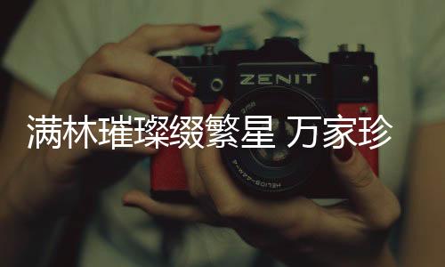 星佰汇官网分为10个大模块