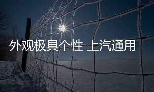 极具车头采用封闭式前脸