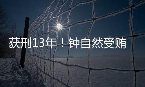 获刑故意泄露国家秘密罪
